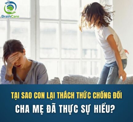 Tại sao con thách thức chống đối? Cha mẹ đã thực sự hiểu?